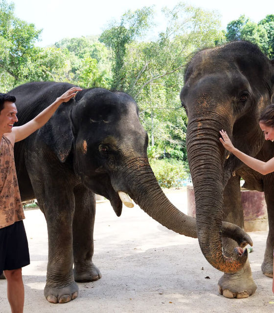 Phuket Elephant Sanctuary