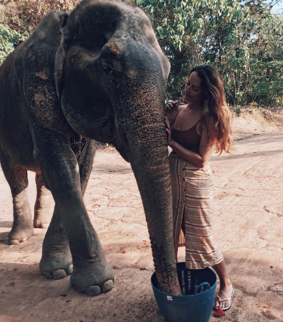 Phuket Elephant Sanctuary