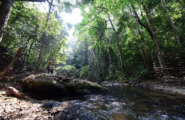 Doi Inthanon