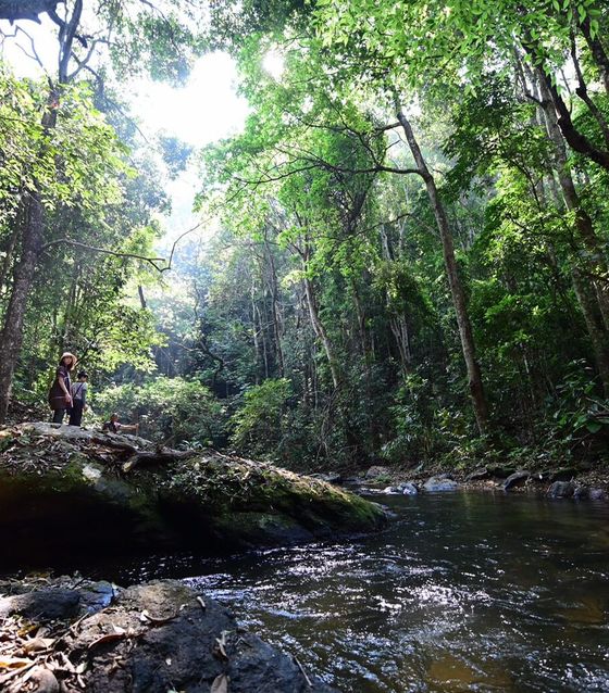 Doi Inthanon