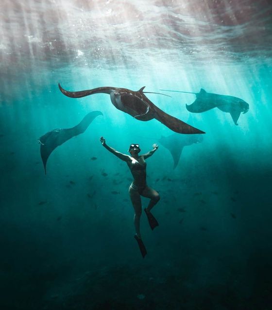 Manta Bay, Nusa Penida