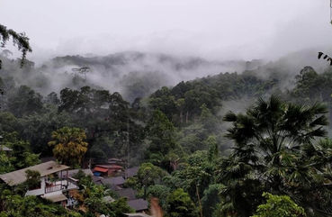Chiang Dao Treking and Village Stay 2 Day 1 Night