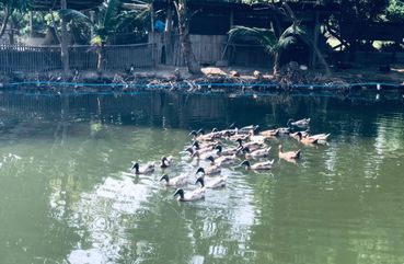 Chiang Mai Unseen