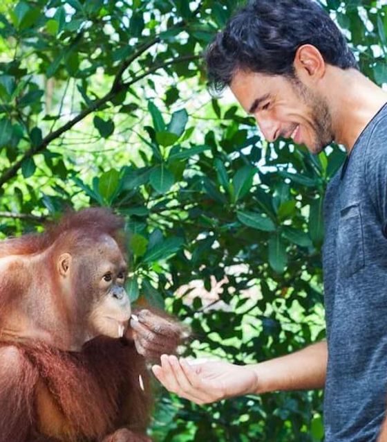 Bali Orangutans