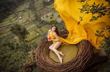Birds Nest