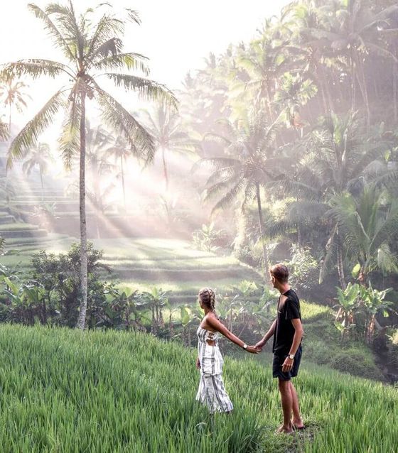 Tegallalang Rice Terrace, Bali