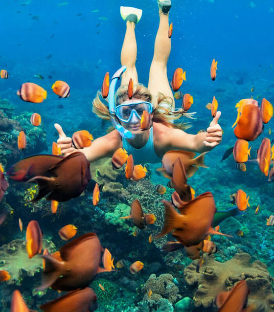 Snorkeling Day Tour, Nusa Penida