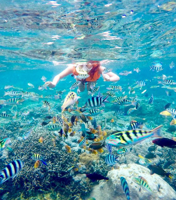 Snorkeling in Nusa Penida