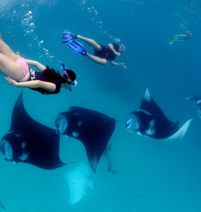 Manta Bay