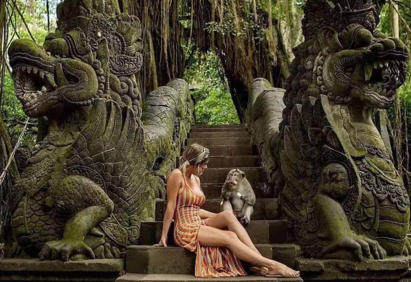 Monkey Forest