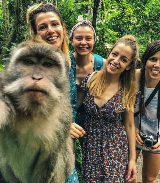Selfie with monkeys at monkey forest in Bali