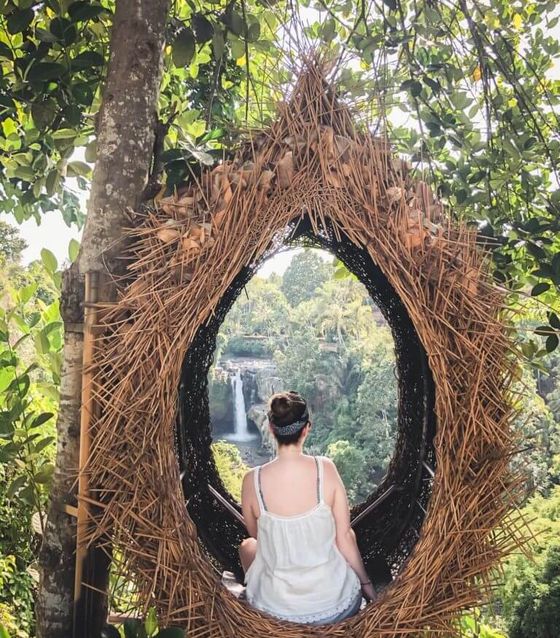 Birds nest in Bali at waterfall