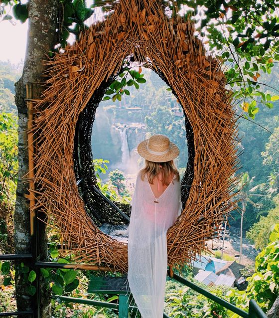 Birds nest in Bali