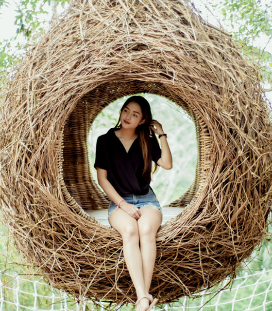 Birds nest in Ubud