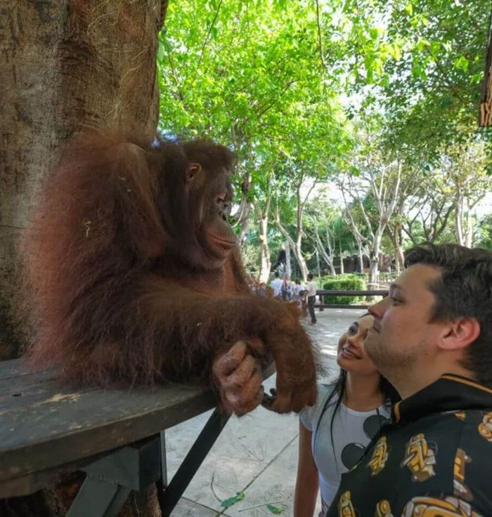 Bali Zoo