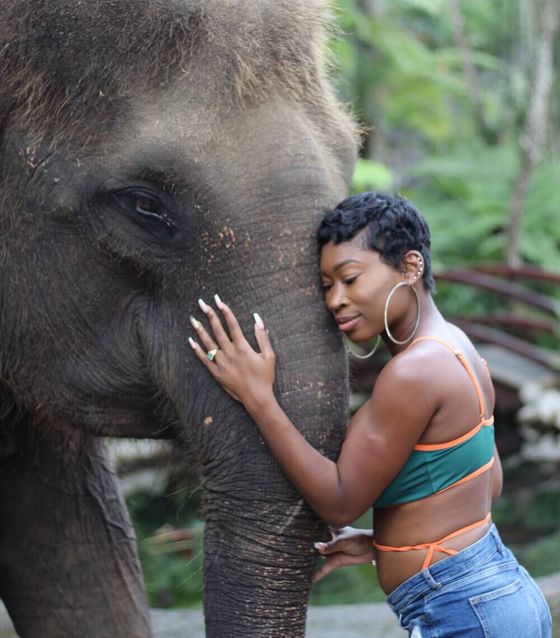 Elephant tour in Bali