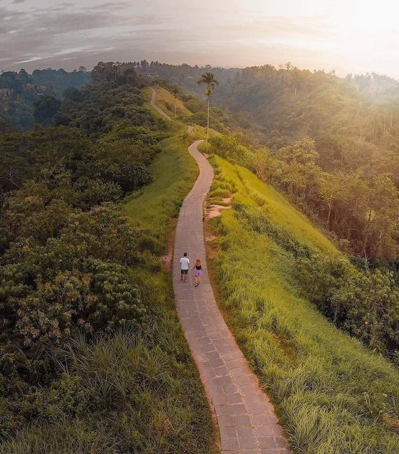 Campuhan Ridge Walk, Bali Indonesia