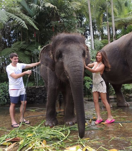 Washing the elephants, Bali