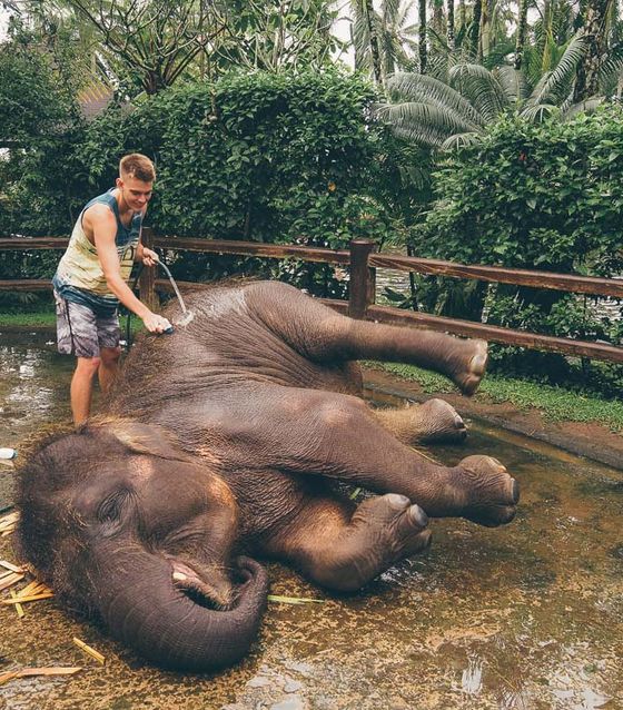 Playing with elephants in Bali