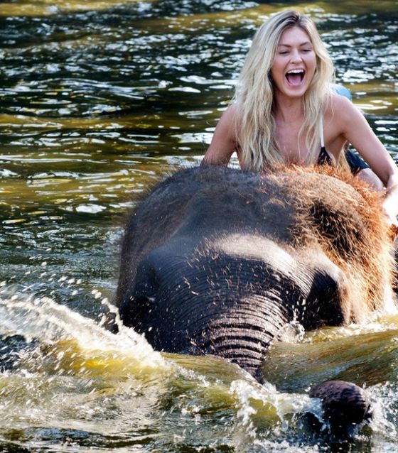 Swimming with elephants in Bali