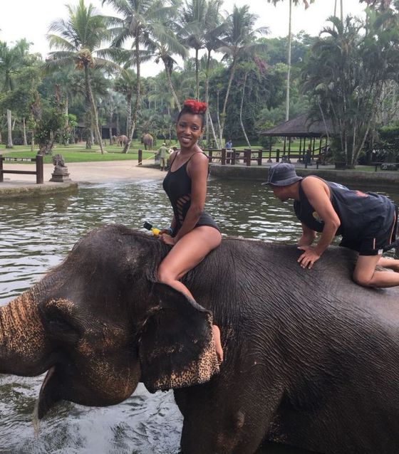 Elephants in Ubud, Bali