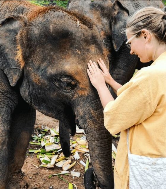 Elephant Sanctuary in Malaysia