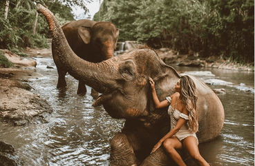 Elephant Sanctuary, Kuala Lumpur