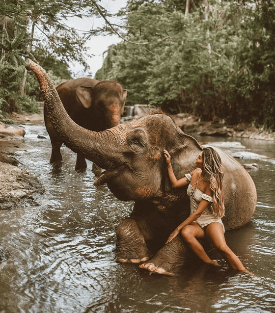 Elephant Sanctuary, Kuala Lumpur