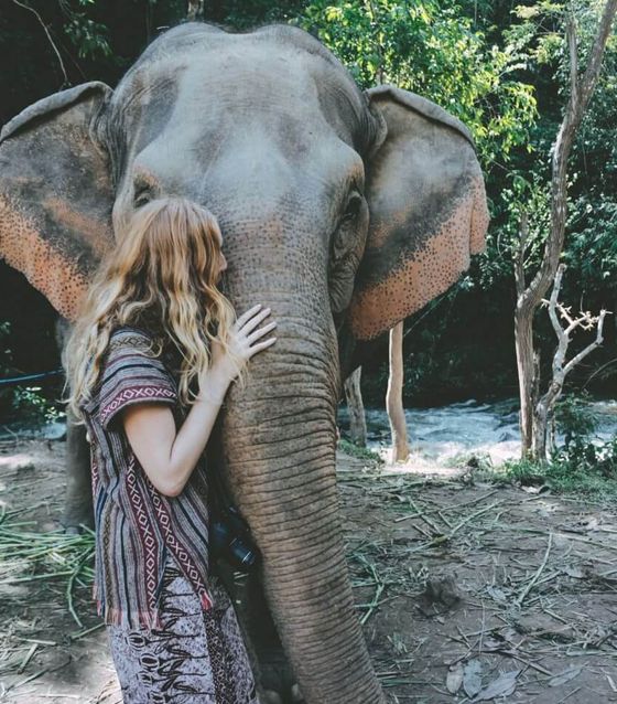 Elephant Sanctuary