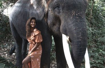 Elephant Sanctuarys in Kuala Lumpur