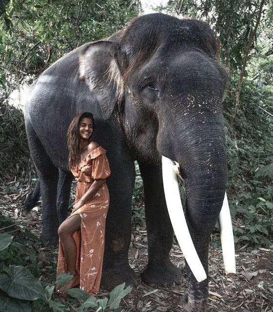 Elephant Sanctuarys in Kuala Lumpur