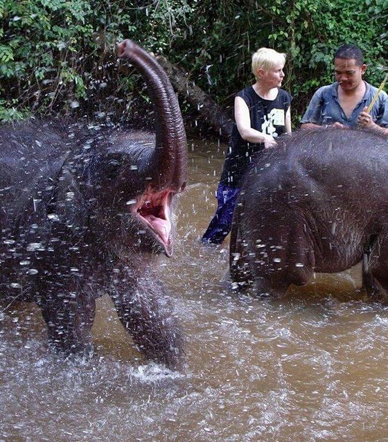 Playing with elephants in Kuala Lumpur