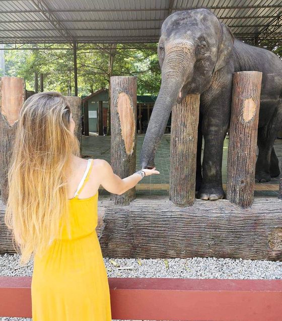 Elephant Sanctuary in Kuala Lumpur