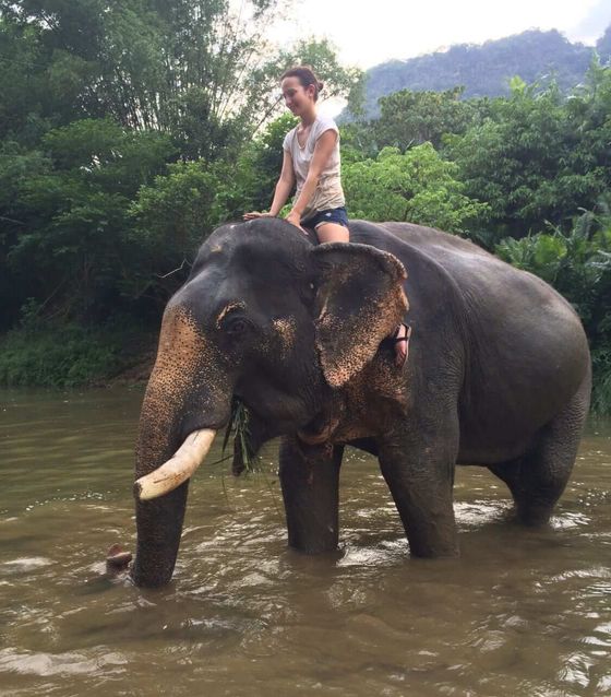 Swimming with elephants