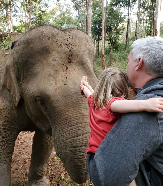 Elephants in KL