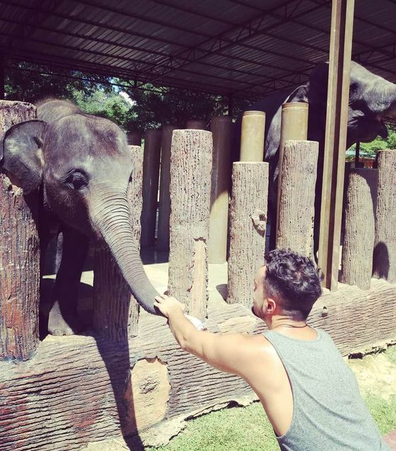 Elephant Sanctuary