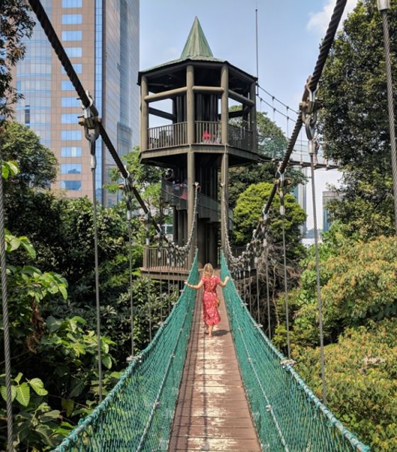 KL Forest Eco Park, Malaysia