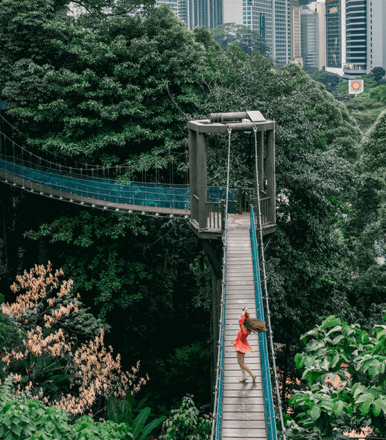 Hanging bridge Kuala Lumpur