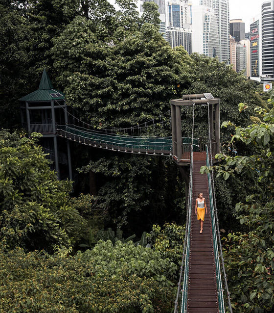 Forest Eco Park Kuala Lumpur