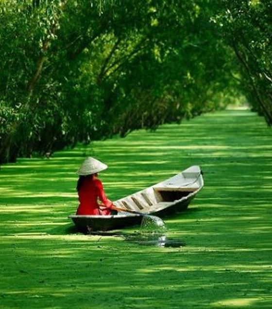 Beautiful Mekong Delta, Vietnam