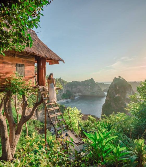rumah pohon tree house, Bali